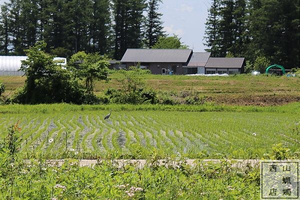 西山蝋燭店