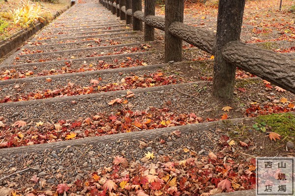 信濃町・小丸山公園