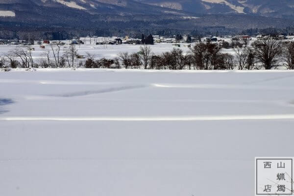 信濃町の雪景色