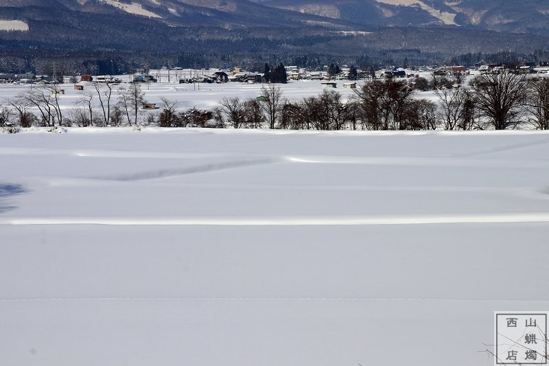 信濃町の雪景色