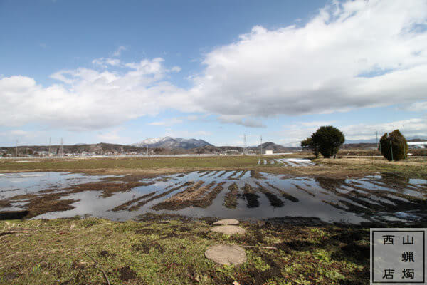 西山蝋燭店の畑