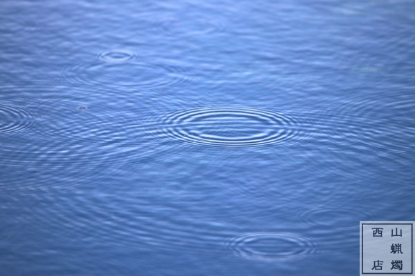 雨の波紋