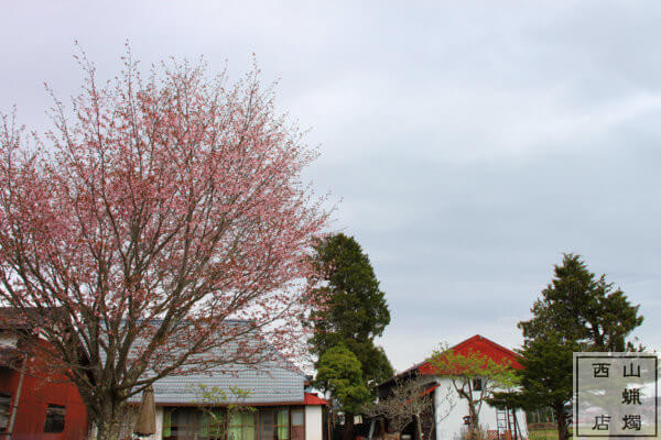 西山蝋燭店の庭造り