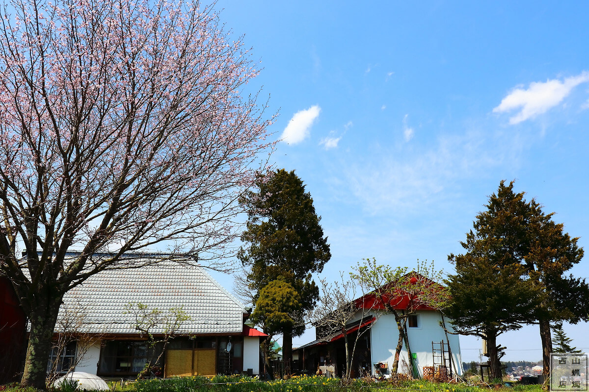 西山ろうそく店