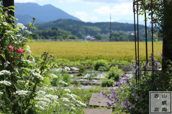 西山ろうそく店ガーデン