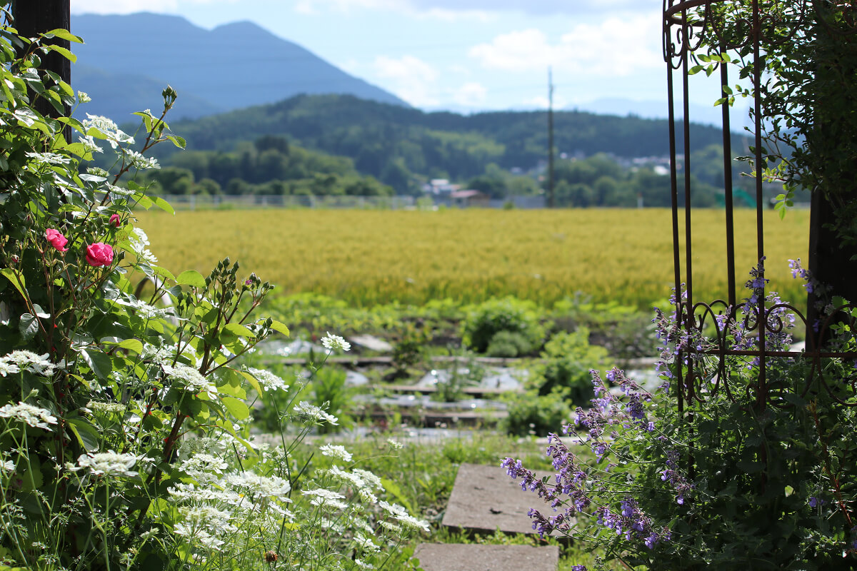 西山ろうそく店ガーデン