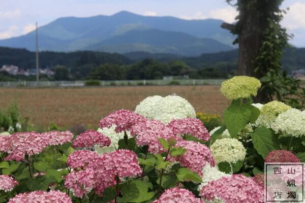 西山ろうそく店