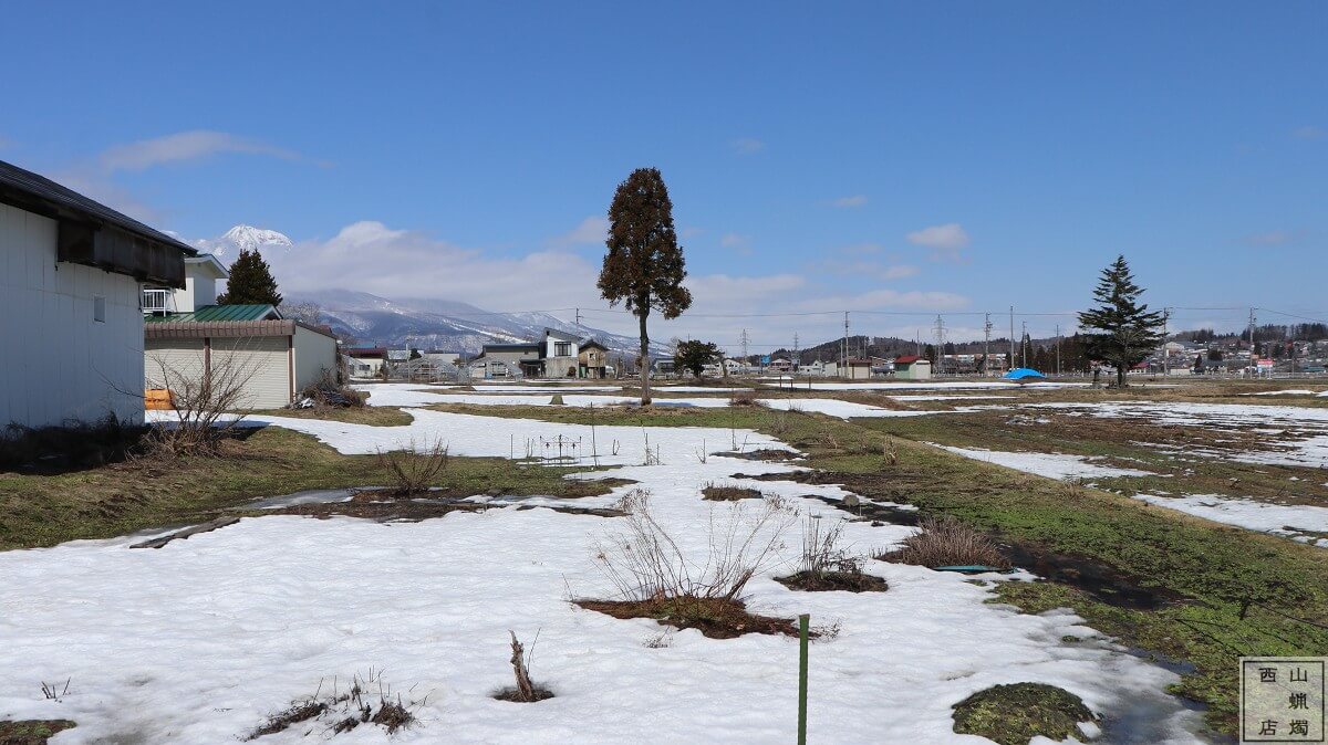 etsuko field